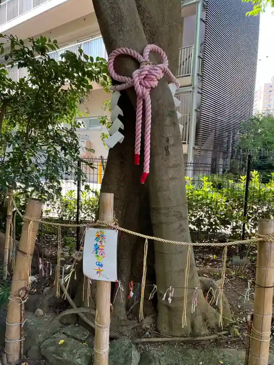 伊和志津神社(兵庫県)