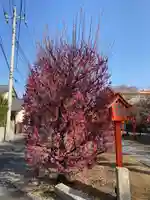 朝日森天満宮の庭園