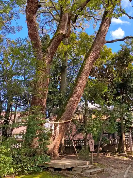 武蔵一宮氷川神社の自然