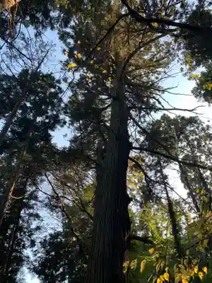香取神社(千葉県)