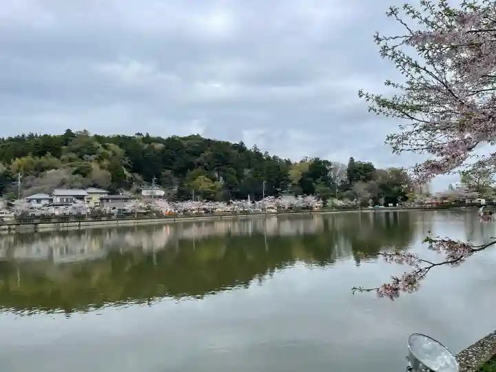 厳島神社 谷弁財天の{uncategorized: "未分類", other: "その他", undefined: "問題あり", building: "その他建物", grave: "お墓", sacred_gate: "鳥居", guardian: "狛犬", statue: "像", buddha: "仏像", history: "歴史", nature: "自然", garden: "庭園", animal: "動物", pagoda: "塔", temizu: "手水舎", mountain_gate: "山門・神門", sanctuary: "本殿・本堂", subordinate: "末社・摂社", art: "芸術", scenery: "景色", jizo: "地蔵", ema: "絵馬", goshuin: "御朱印", omikuji: "おみくじ", items: "授与品その他", amulet: "お守り", goshuincho: "御朱印帳", eats: "食事", festival: "お祭り", votive_dance: "神楽", shichigosan: "七五三参", wedding: "結婚式", experience: "体験その他", initially: "初詣", around: "周辺", anti_infection: "感染症対策"}