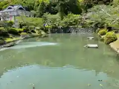 吉香神社(山口県)