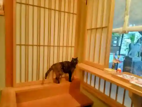 五十稲荷神社(栄寿稲荷神社)(東京都)