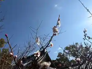 一乗院(和歌山県)(2026年02月22日(日) 10時04分40秒投稿)