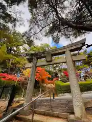 紅葉八幡宮(福岡県)