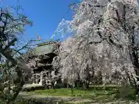 安養寺の{uncategorized: "未分類", other: "その他", undefined: "問題あり", building: "その他建物", grave: "お墓", sacred_gate: "鳥居", guardian: "狛犬", statue: "像", buddha: "仏像", history: "歴史", nature: "自然", garden: "庭園", animal: "動物", pagoda: "塔", temizu: "手水舎", mountain_gate: "山門・神門", sanctuary: "本殿・本堂", subordinate: "末社・摂社", art: "芸術", scenery: "景色", jizo: "地蔵", ema: "絵馬", goshuin: "御朱印", omikuji: "おみくじ", items: "授与品その他", amulet: "お守り", goshuincho: "御朱印帳", eats: "食事", festival: "お祭り", votive_dance: "神楽", shichigosan: "七五三参", wedding: "結婚式", experience: "体験その他", initially: "初詣", around: "周辺", anti_infection: "感染症対策"}