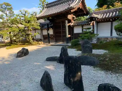 崇福寺の庭園