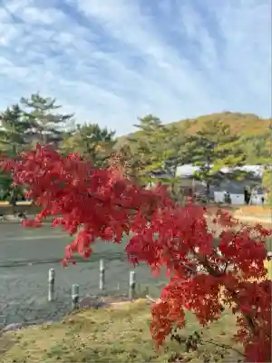 吉備津彦神社(岡山県)