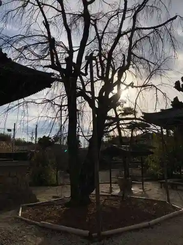 信明寺(三重県)