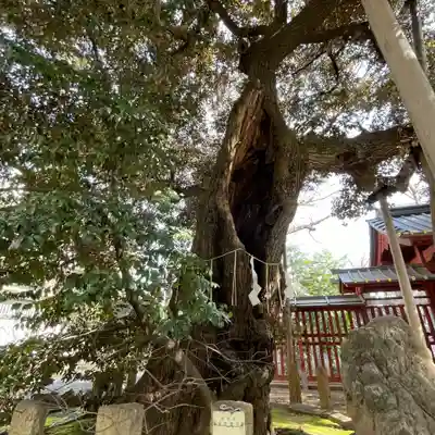 金王八幡宮(東京都)