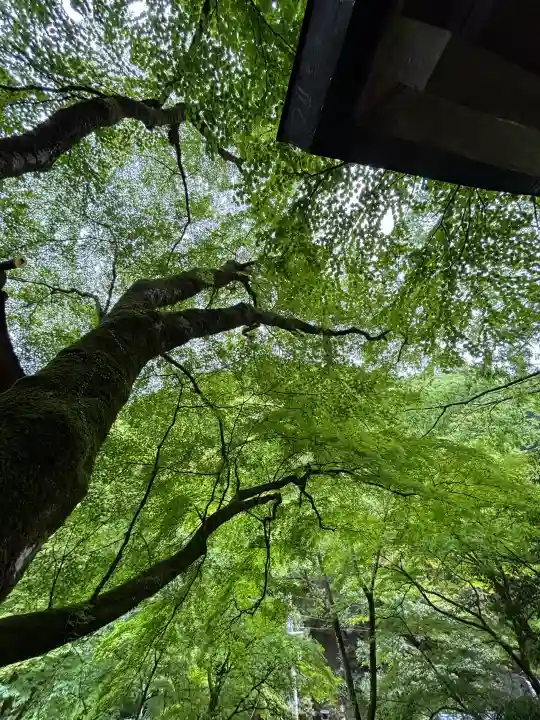 貴船神社(京都府)