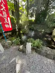 秩父今宮神社(埼玉県)