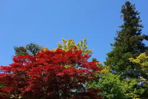 普門院の自然