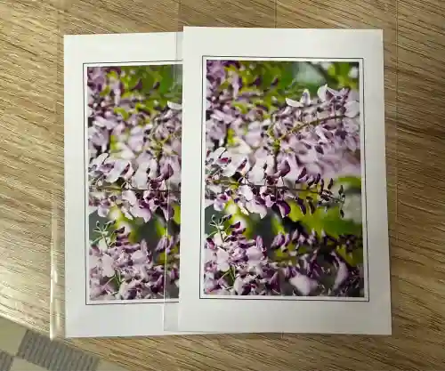 常泉寺(神奈川県)