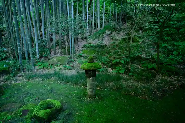 報国寺(神奈川県)
