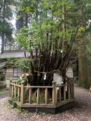 幣立神宮(熊本県)