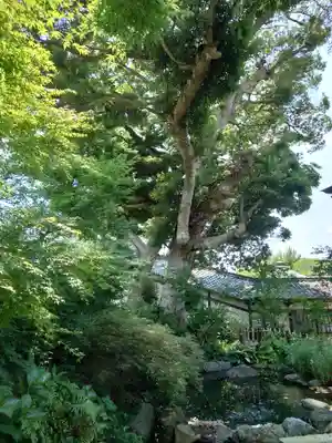 宇賀神社(神奈川県)