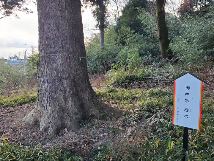 三崎稲荷神社の自然