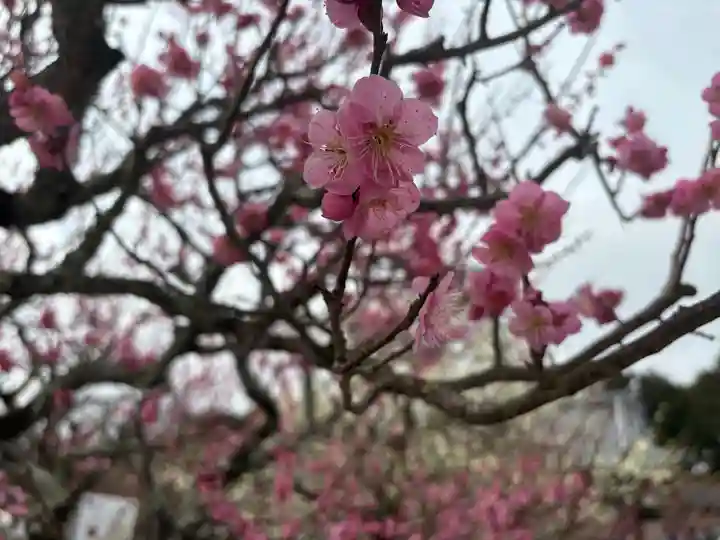 岩津天満宮の自然