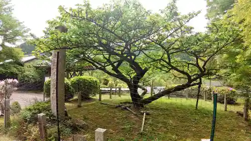 長徳寺(三重県)