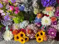 札幌諏訪神社の手水舎