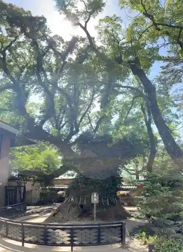 筥崎宮(福岡県)