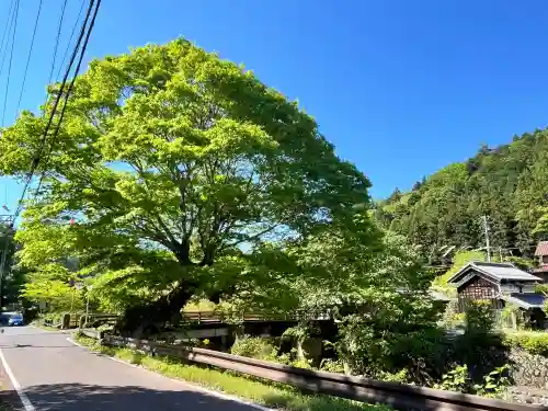 聖光寺の{uncategorized: "未分類", other: "その他", undefined: "問題あり", building: "その他建物", grave: "お墓", sacred_gate: "鳥居", guardian: "狛犬", statue: "像", buddha: "仏像", history: "歴史", nature: "自然", garden: "庭園", animal: "動物", pagoda: "塔", temizu: "手水舎", mountain_gate: "山門・神門", sanctuary: "本殿・本堂", subordinate: "末社・摂社", art: "芸術", scenery: "景色", jizo: "地蔵", ema: "絵馬", goshuin: "御朱印", omikuji: "おみくじ", items: "授与品その他", amulet: "お守り", goshuincho: "御朱印帳", eats: "食事", festival: "お祭り", votive_dance: "神楽", shichigosan: "七五三参", wedding: "結婚式", experience: "体験その他", initially: "初詣", around: "周辺", anti_infection: "感染症対策"}