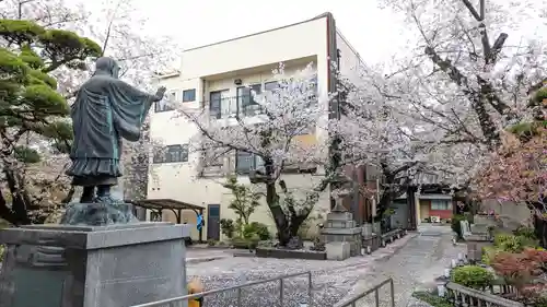 墨染寺（桜寺）(京都府)