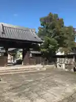 養泉寺の山門・神門