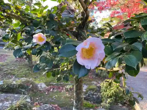 伊勢の国 四天王寺(三重県)