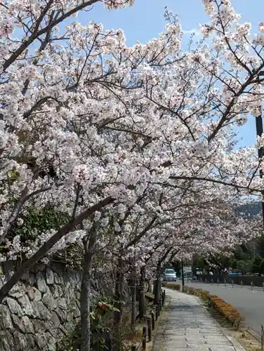 くろ谷 金戒光明寺(京都府)