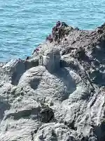 十六羅漢岩 (山形県)