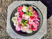 厚別神社(北海道)