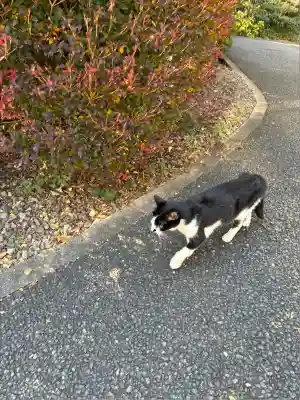 白金氷川神社(東京都)