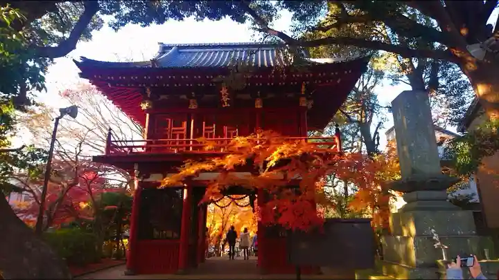 本土寺の山門・神門