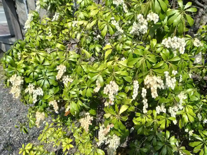 水火天満宮の{uncategorized: "未分類", other: "その他", undefined: "問題あり", building: "その他建物", grave: "お墓", sacred_gate: "鳥居", guardian: "狛犬", statue: "像", buddha: "仏像", history: "歴史", nature: "自然", garden: "庭園", animal: "動物", pagoda: "塔", temizu: "手水舎", mountain_gate: "山門・神門", sanctuary: "本殿・本堂", subordinate: "末社・摂社", art: "芸術", scenery: "景色", jizo: "地蔵", ema: "絵馬", goshuin: "御朱印", omikuji: "おみくじ", items: "授与品その他", amulet: "お守り", goshuincho: "御朱印帳", eats: "食事", festival: "お祭り", votive_dance: "神楽", shichigosan: "七五三参", wedding: "結婚式", experience: "体験その他", initially: "初詣", around: "周辺", anti_infection: "感染症対策"}