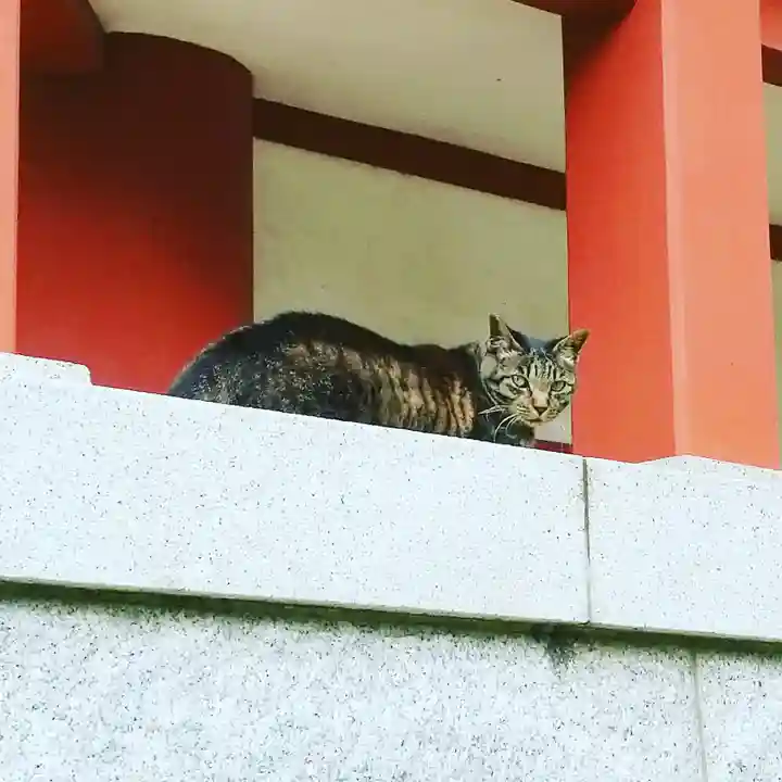香取神社の動物