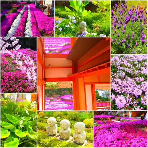 寿量山　速成寺(奈良県)