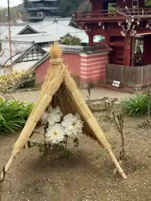 當麻寺 奥院の{uncategorized: "未分類", other: "その他", undefined: "問題あり", building: "その他建物", grave: "お墓", sacred_gate: "鳥居", guardian: "狛犬", statue: "像", buddha: "仏像", history: "歴史", nature: "自然", garden: "庭園", animal: "動物", pagoda: "塔", temizu: "手水舎", mountain_gate: "山門・神門", sanctuary: "本殿・本堂", subordinate: "末社・摂社", art: "芸術", scenery: "景色", jizo: "地蔵", ema: "絵馬", goshuin: "御朱印", omikuji: "おみくじ", items: "授与品その他", amulet: "お守り", goshuincho: "御朱印帳", eats: "食事", festival: "お祭り", votive_dance: "神楽", shichigosan: "七五三参", wedding: "結婚式", experience: "体験その他", initially: "初詣", around: "周辺", anti_infection: "感染症対策"}