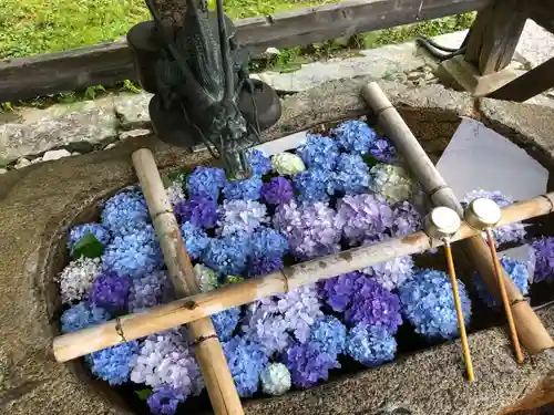 観心寺(大阪府)