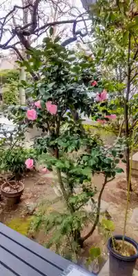 千住本氷川神社(東京都)