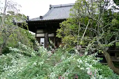 宝戒寺の庭園