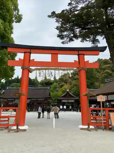 賀茂別雷神社（上賀茂神社）の鳥居