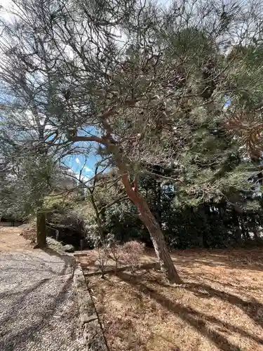 蒲生神社(栃木県)