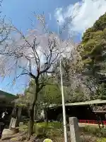 代々木八幡宮の{uncategorized: "未分類", other: "その他", undefined: "問題あり", building: "その他建物", grave: "お墓", sacred_gate: "鳥居", guardian: "狛犬", statue: "像", buddha: "仏像", history: "歴史", nature: "自然", garden: "庭園", animal: "動物", pagoda: "塔", temizu: "手水舎", mountain_gate: "山門・神門", sanctuary: "本殿・本堂", subordinate: "末社・摂社", art: "芸術", scenery: "景色", jizo: "地蔵", ema: "絵馬", goshuin: "御朱印", omikuji: "おみくじ", items: "授与品その他", amulet: "お守り", goshuincho: "御朱印帳", eats: "食事", festival: "お祭り", votive_dance: "神楽", shichigosan: "七五三参", wedding: "結婚式", experience: "体験その他", initially: "初詣", around: "周辺", anti_infection: "感染症対策"}