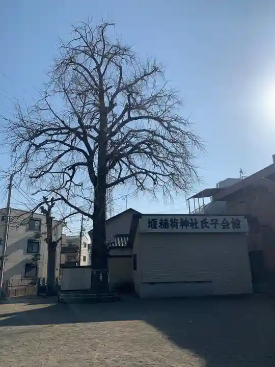 稲荷神社の自然