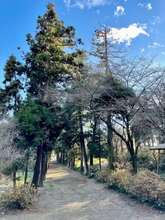 千代ケ岡八幡宮(栃木県)