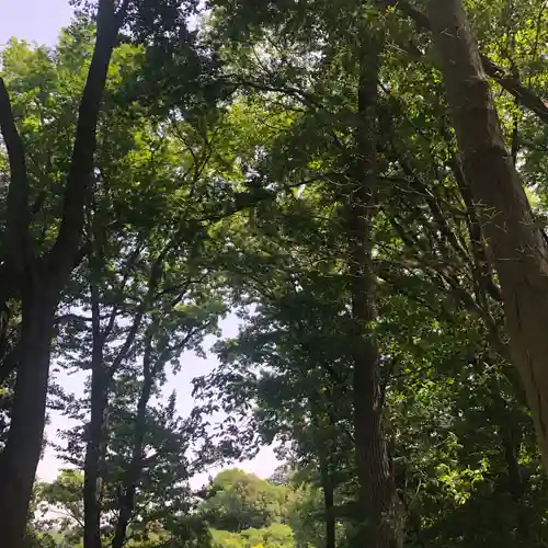 山之神神社(埼玉県)