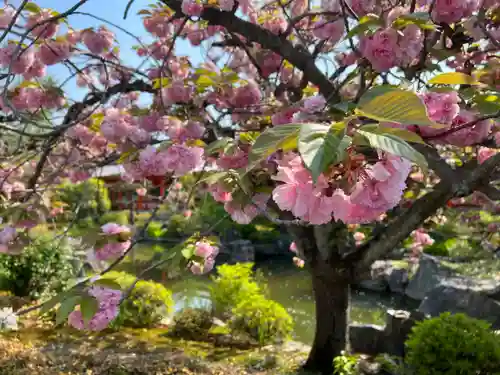 蓮華王院（三十三間堂）(京都府)
