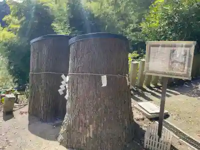 新宮神社(奈良県)